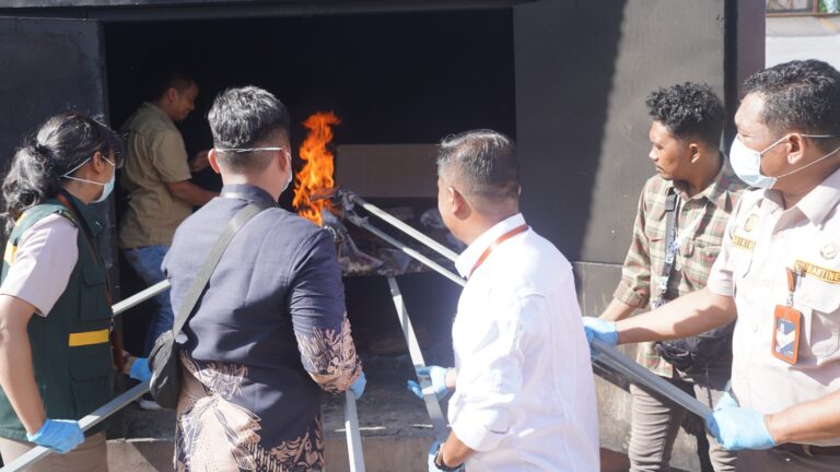 Cegah Penyakit ASF, Karantina Papua Selatan Musnahkan Daging Babi