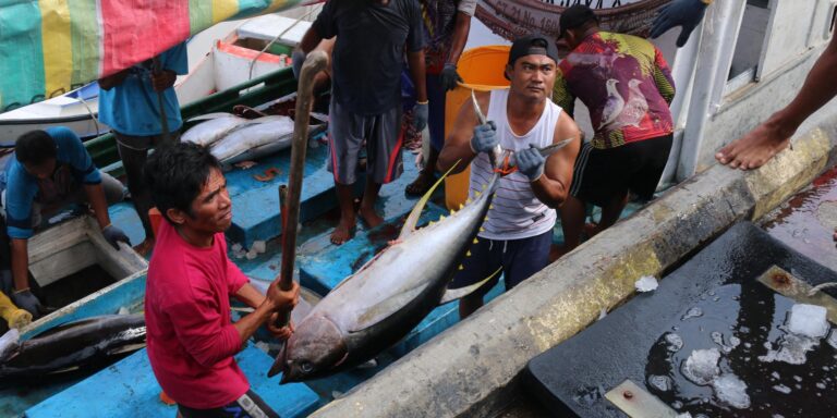 Pemerintah Beri Kemudahan Urus Sertifikat Kelaikan Kapal Perikanan