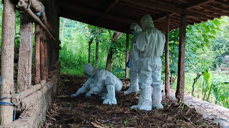 Kementan Cepat Respon Satu Kasus Gejala Antraks di Gunung Kidul
