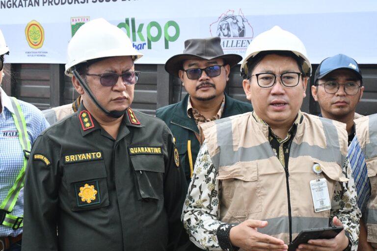 Indukan Sapi Pedaging Impor Masuk Perdana, Bukti Komitmen Investasi Peternakan