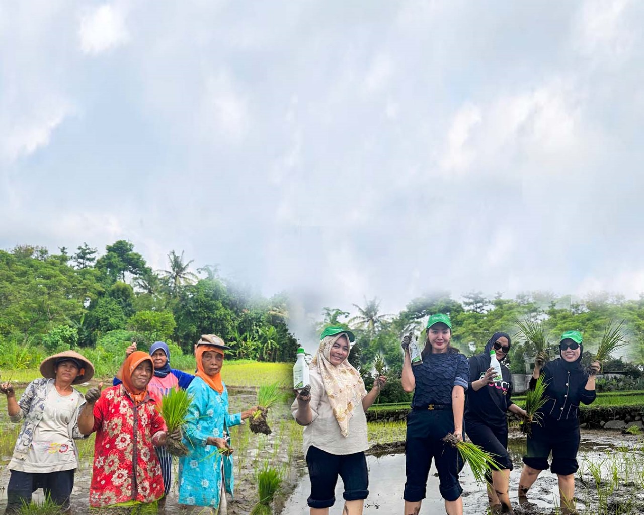 INTANI – IMP168 Kerjasama gandeng Forum Bumdes untuk Swasembada Pangan Berkelanjutan