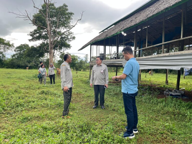 Kementan Gandeng Pemda Bone Bangun Ekosistem Peternakan Kawasan Timur