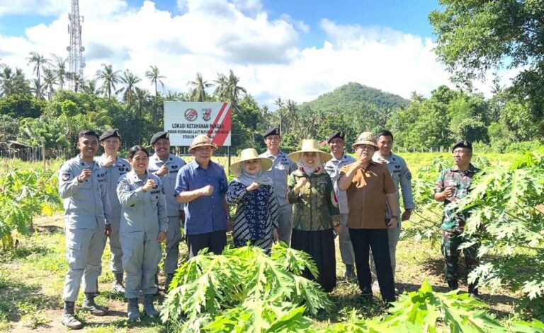 Kepala Bakamla Panen Kacang Tanah di Karangasem Bali
