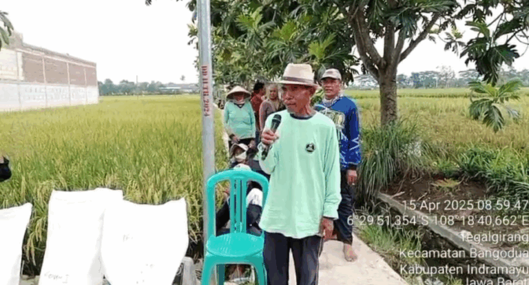 Dukung Swasembada Pangan, Menteri PU Gelar Panen Raya dan Pameran Teknologi IPHA