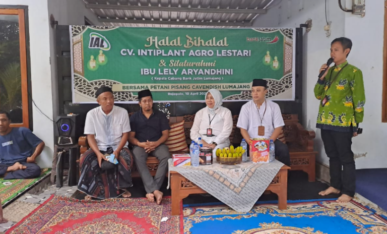 Sinergi Dengan Intiplant Argo Lestari, Bank Jatim Cabang Lumajang Dukung Petani Pisang Cavendish