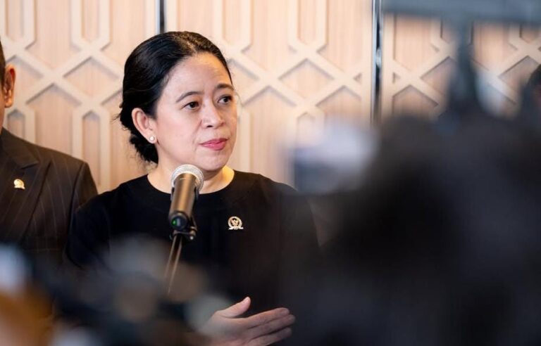 Ketua DPR RI, Puan Maharani (Ist).
