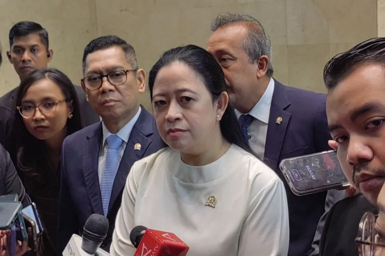 RS Asing Diizinkan Beroperasi di RI, Puan: Harus Taat Regulasi Nasional