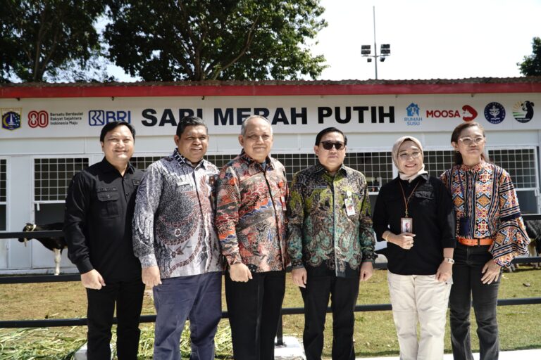 Inovasi Sapi Merah Putih Sejalan dengan P2SDN