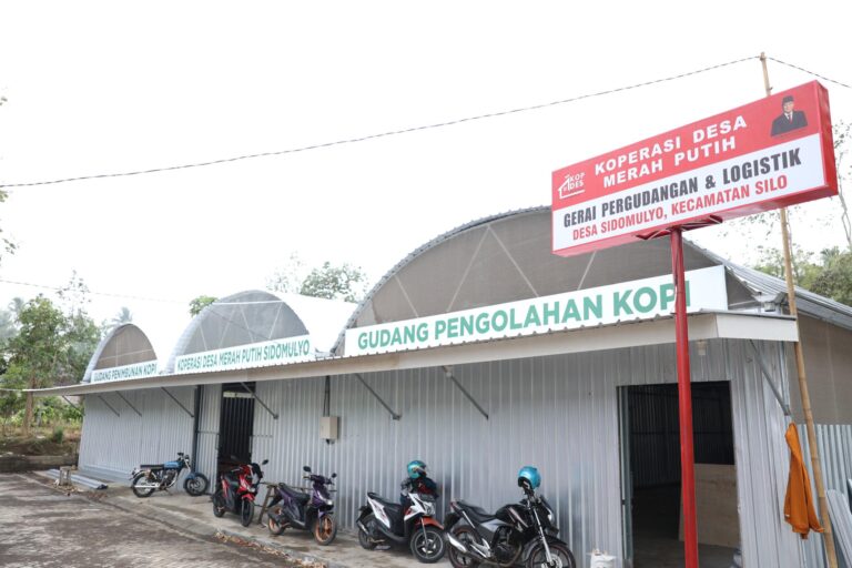 Potensi Kopi Robusta Sidomulyo Menggeliat, LPDB Perkuat Peran Koperasi Desa Merah Putih