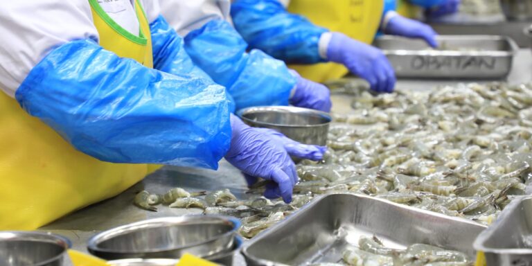 Udang Lokal Masih Sangat Diminati Masyarakat Nusantara