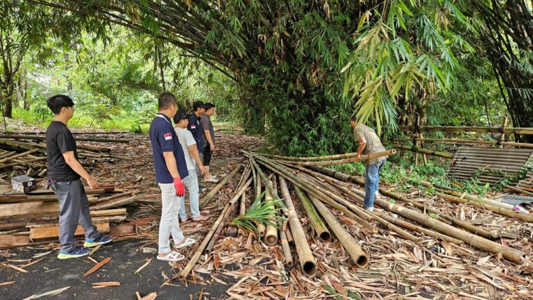 Bambu Jadi Harapan Baru Industri Furnitur Nasional