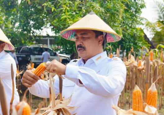 Dorong Ketahanan Pangan Nasional, Menteri Agus Beri Bantuan untuk Masyarakat