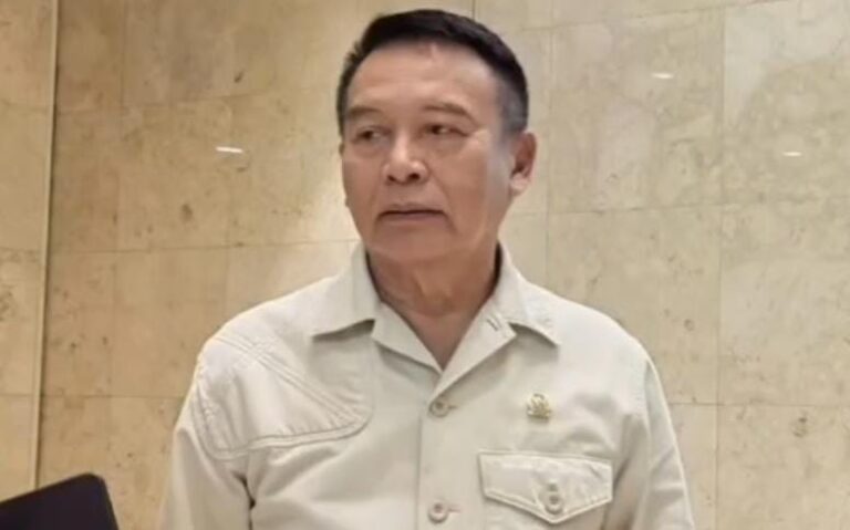 DPR Minta Usut dan Tindak Pejabat yang Biarkan Bandara ‘Siluman’ di Morowali