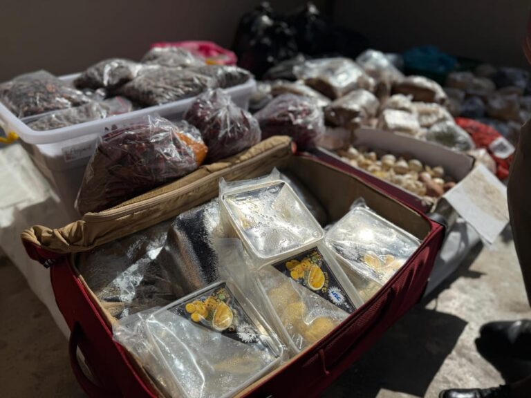 Karantina Kepri Musnahkan Puluhan Kilogram Durian dan Komoditas Ilegal Tanpa Dokumen