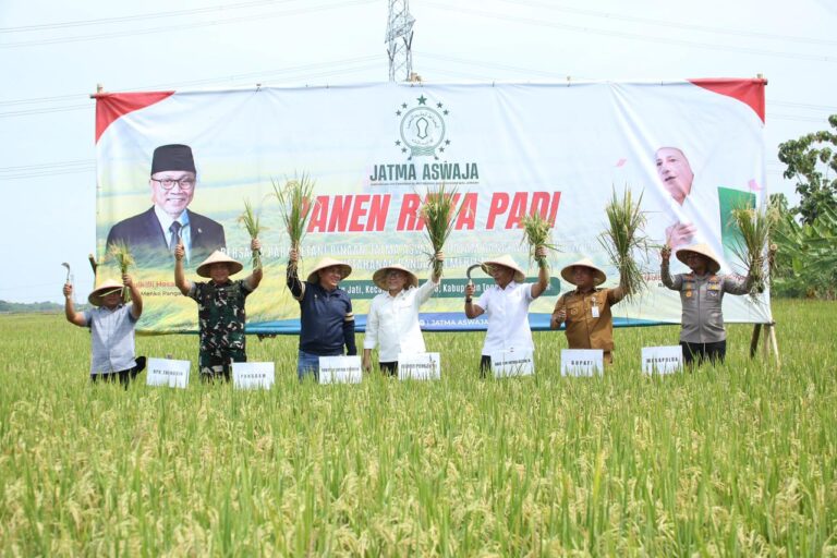 Panen Raya Padi di Tegal, PB JATMA ASWAJA Tegaskan Komitmen Ketahanan Pangan Nasional
