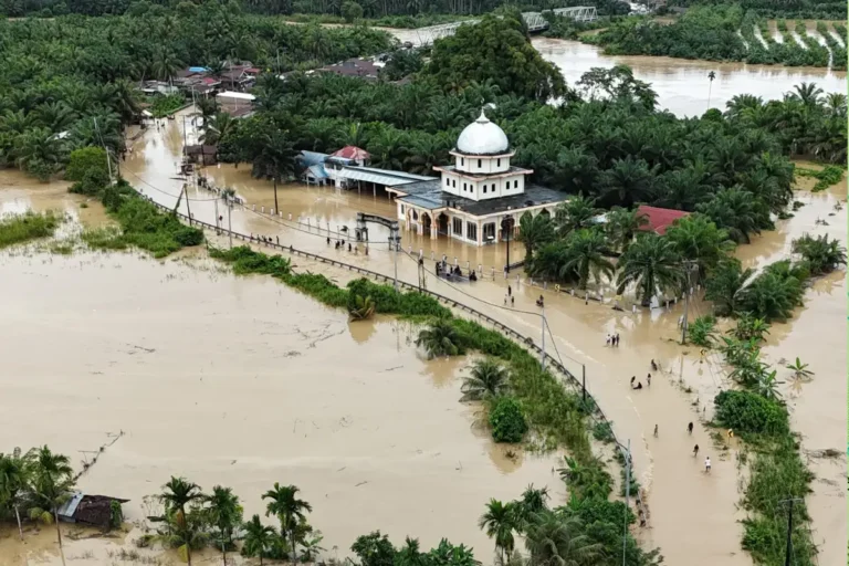 Soroti Penyebab Banjir Sumatera, Prof. Rokhmin Sebut Ada Tujuh Hikmah Utama