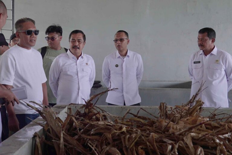 Dukung Ketahanan Pangan, Menteri Agus Komitmen Ubah Lahan Idle Jadi Lahan Produktif
