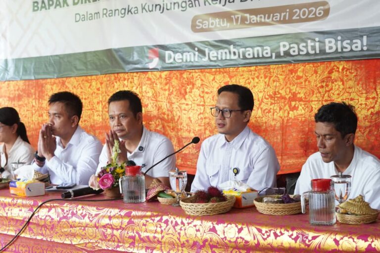 Kementan Salurkan Vaksin LSD ke Jembrana, Lindungi Usaha Peternak Sapi