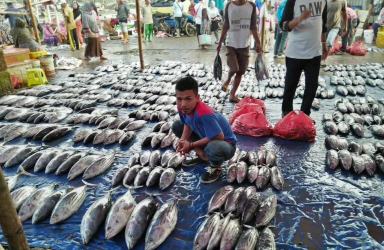 KKP Targetkan Indonesia Jadi Eksportir Tuna Nomor Satu di Jepang