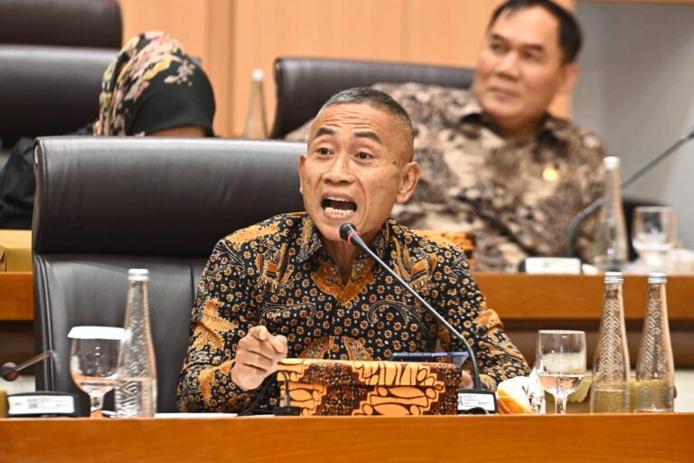 DPR Minta UMKM Digendong Jadi Pelaksana Utama Program BGN