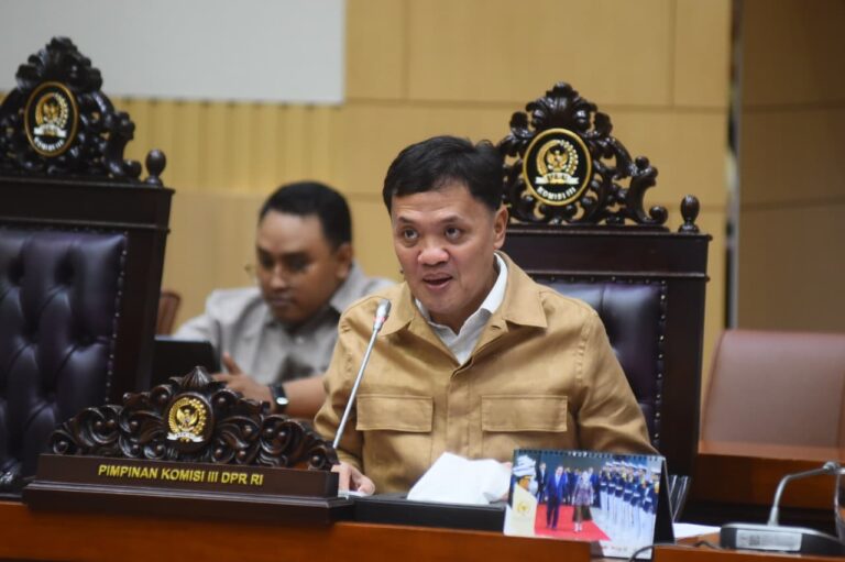 DPR: KUHP dan KUHAP Baru Jamin Aktivis Tak Bisa Asal Dipenjara