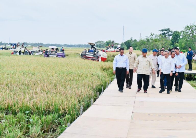 Indonesia Resmi Swasembada Pangan, Stok Bulog Capai Rekor Sejarah