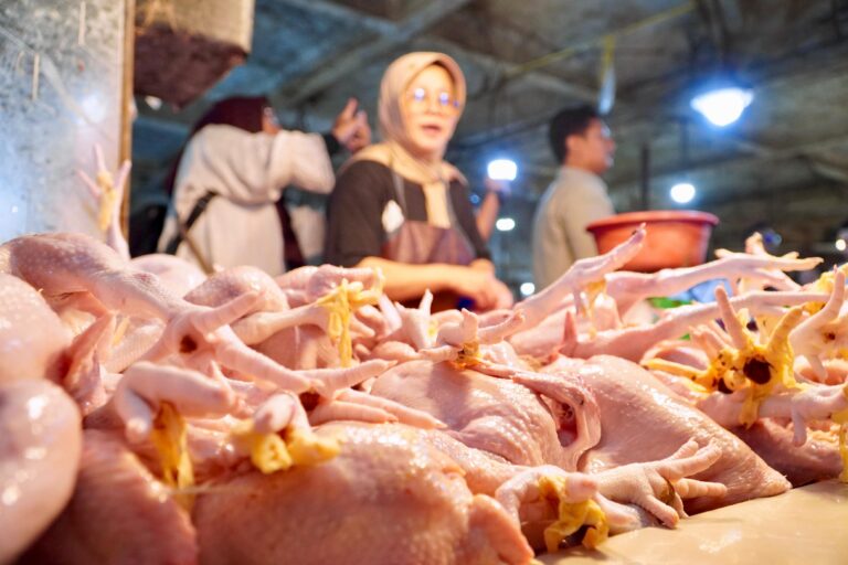 Bapanas Pantau Pasar Cileungsi Bogor: Harga Daging Sesuai HAP, Cabai Rawit Merah Mulai Turun