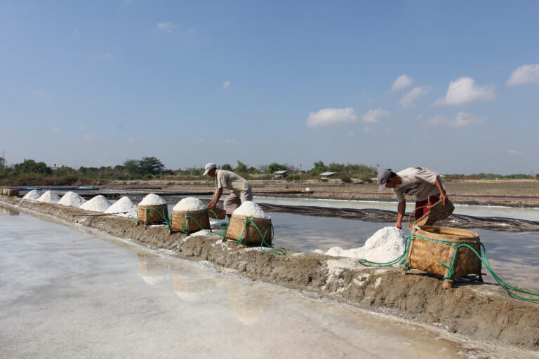 Canggih! Teknologi Baru KKP Hasilkan Garam Putih Standar Industri