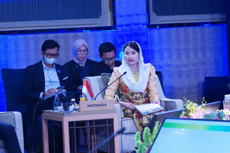 Wamendag Roro Tekankan Pentingnya Keamanan Ekonomi Anggota ASEAN