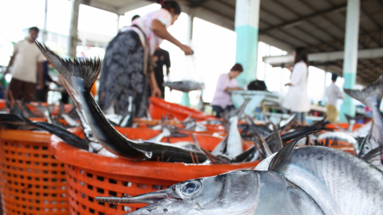 KKP Perketat Pengawasan Perusahaan Asing Penyuplai Pangan Ikan