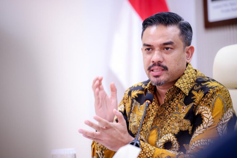 Pemerintah Siapkan Payung Hukum Pelindungan UMKM di Pasar Digital