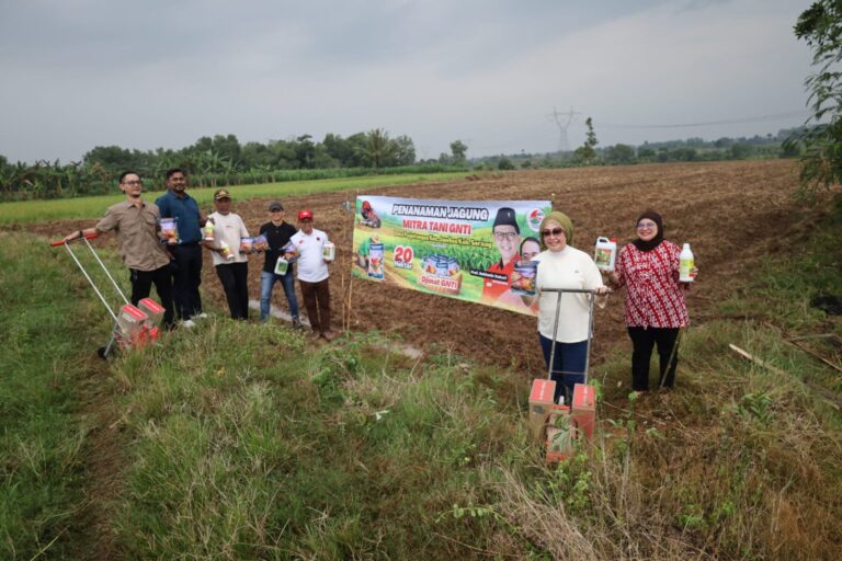 GNTI Salurkan Bibit Jagung, Perkuat Ketahanan Pangan Nasional