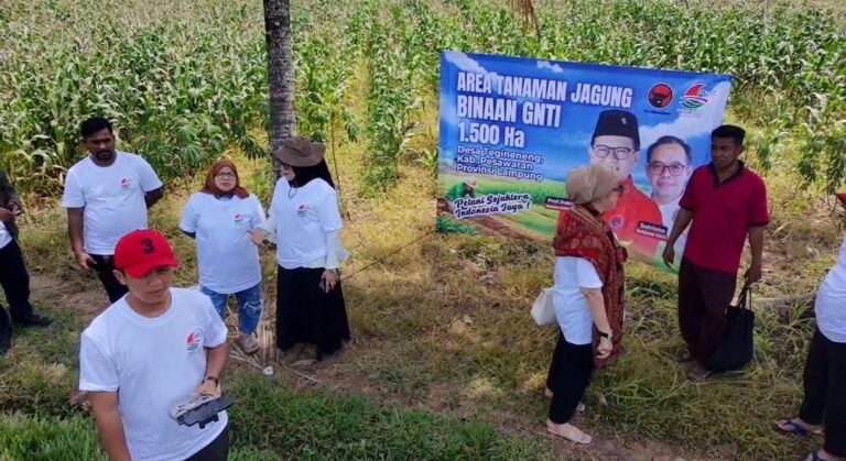 Monitoring Kebun Jagung Kemitraan GNTI, Persiapan Panen Raya 1.500 Hektare