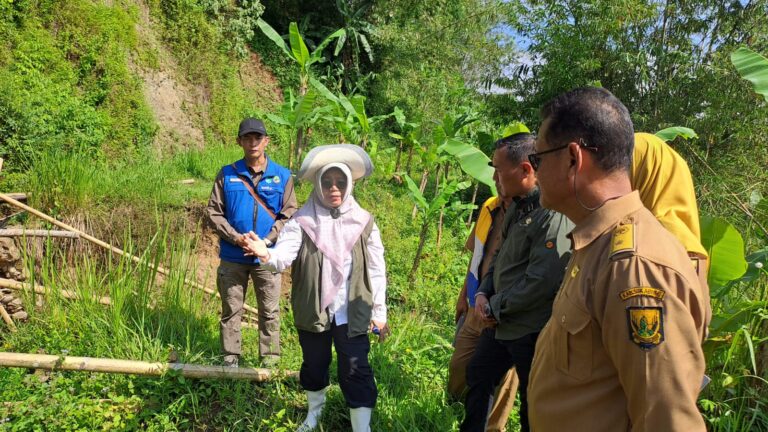 Kementan Gerak Cepat Tinjau Saluran Irigasi Rusak di Sukabumi