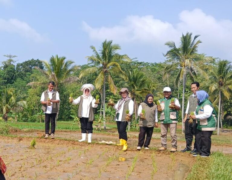 Mitigasi El Nino, Kementan Masifkan Pendampingan Swasembada Pangan Berkelanjutan di Sukabumi