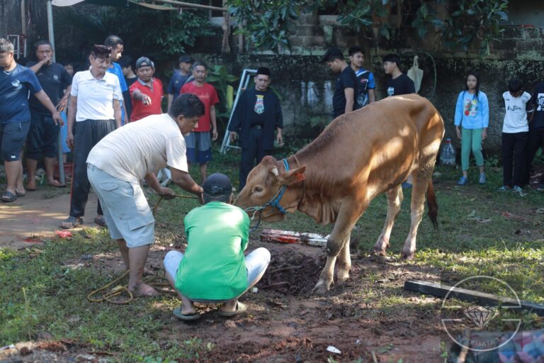 LAZISNU Depok Kelola 1.067 Hewan Qurban di 64 Titik, Manfaat Dirasakan Lebih dari 30 Ribu Warga