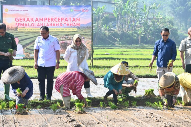 Hadapi Kemarau 2026, Kementan Genjot Percepatan Semai, Olah Lahan dan Tanam Padi