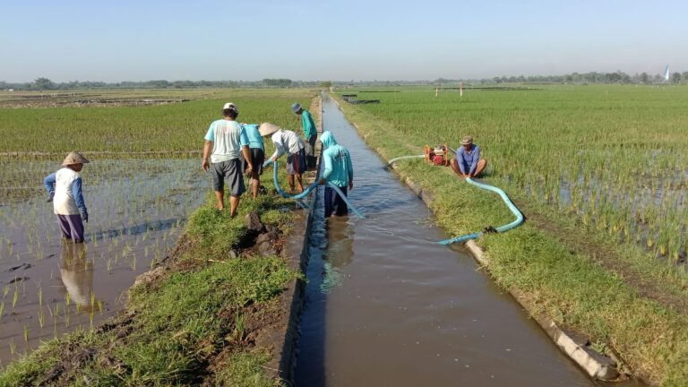 HKTI Lumajang Kawal Ketat LP2B, Tegaskan Tak Boleh Ada Alih Fungsi Lahan Produktif