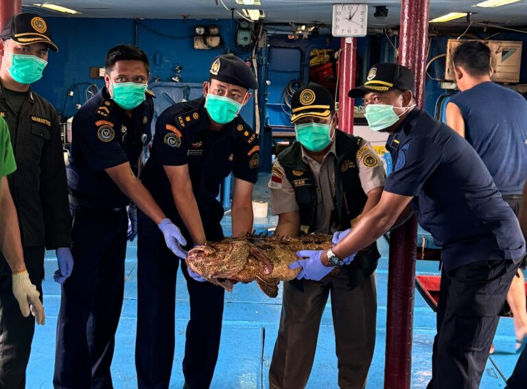 Lolos Karantina, 10.362 Ekor Ikan Hidup Asal Natuna Kembali Diekspor ke Hong Kong