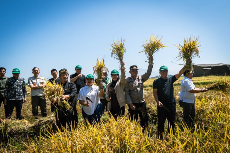 Panen Demplot Pupuk Hayati Cair Organik di Kabupaten Bandung Naikkan Produksi Padi