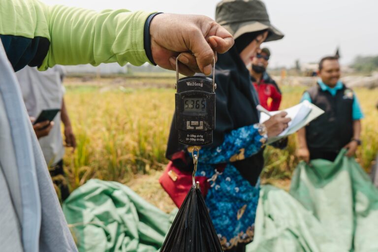 Produksi Padi dan Cabai Bogor Meningkat dalam Demplot Aplikasi Pupuk Hayati ExtraGen