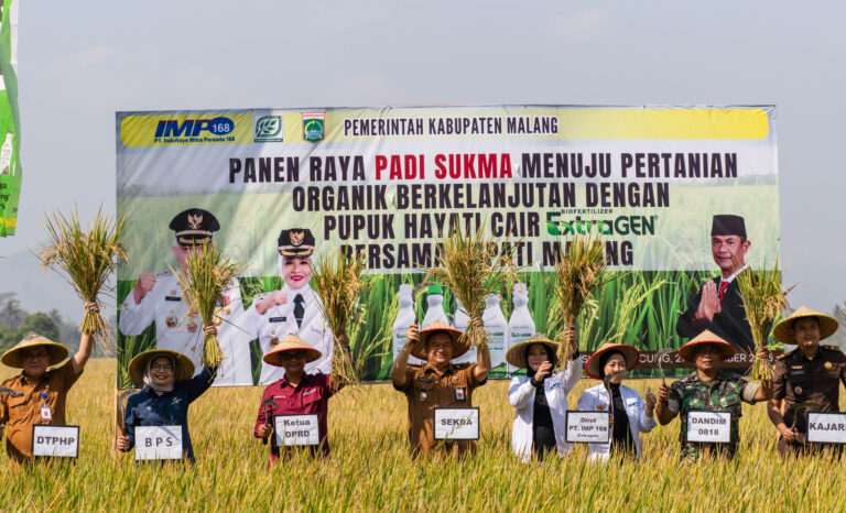 Panen Demplot ExtraGen di Malang Tembus 12,5 Ton per Hektare, Pemkab Siapkan Pengembangan Lebih Luas