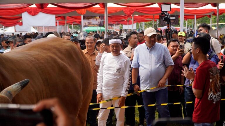 Kontes Sapi APPSI Piala Presiden 2026 Jadi Panggung Peternak, Kementan Perkuat Genetik dan Produktivitas